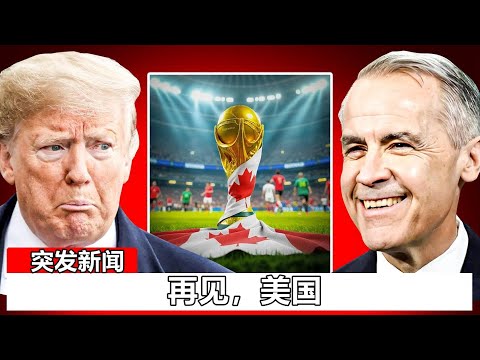 荷甲第,轮巅峰对决,精英,香港赛马会,赛程安排,赛果查询,马匹资料,赛事分析